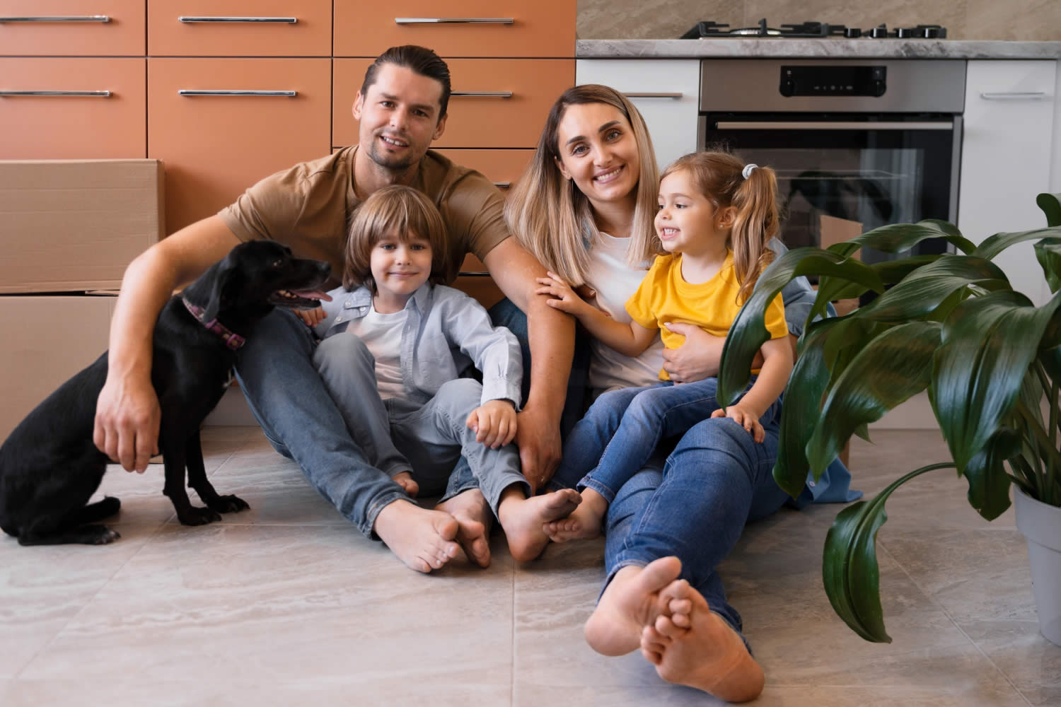 Dehumidifier Repair & Replacement