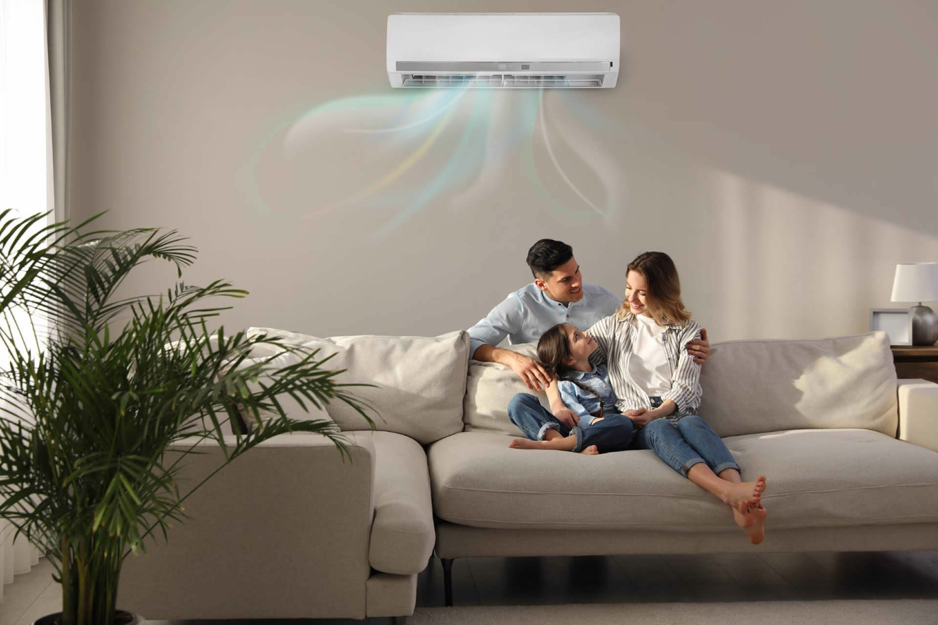 Ductless Systems