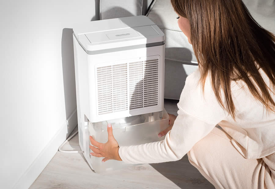 Dehumidifier Repair & Replacement